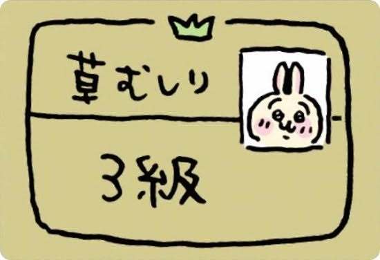 所持資格と現在勉強中の資格を書いていくトピ