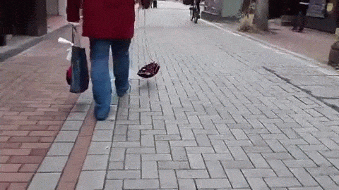 「不覚にも癒されてしまった」 SNS驚きの「たわし散歩サークル」って一体何?当事者が語る活動の魅力