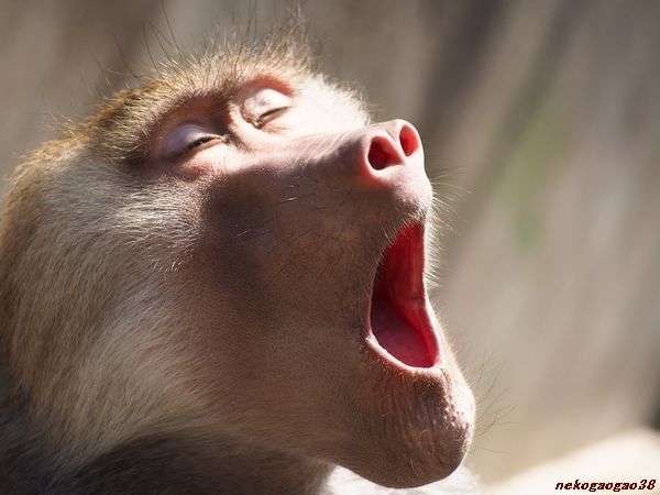 【既婚者限定】独身の友達に言われてイラッとしたこと