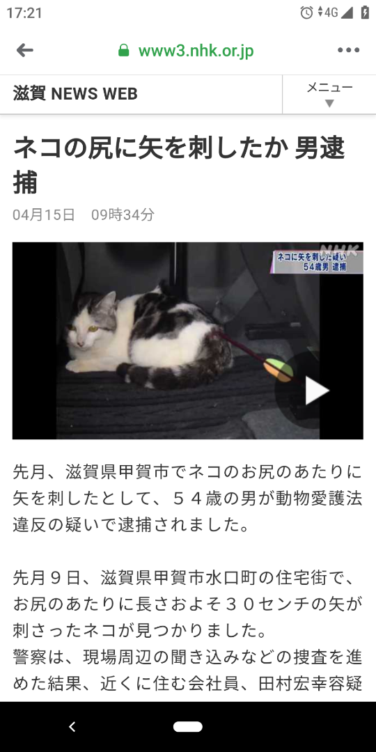 矢のようなものが刺さった猫が住宅の庭で見つかる　動物愛護法違反容疑で捜査　埼玉・熊谷市