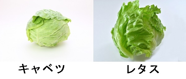 ちょっと恥ずかしくてリアルでは言えないこと