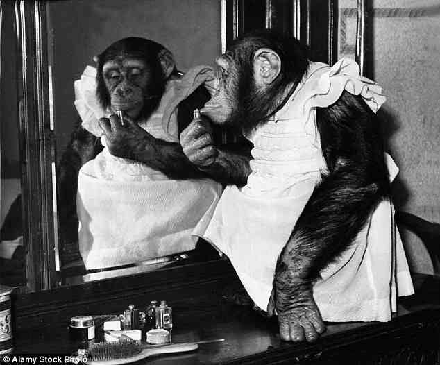 ジャスティン・ビーバーの妻、“心臓手術”成功に感謝