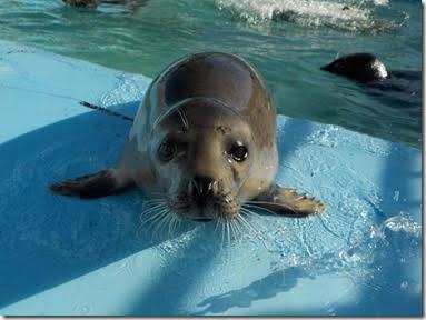 とにかく平和に雑談するトピpart14