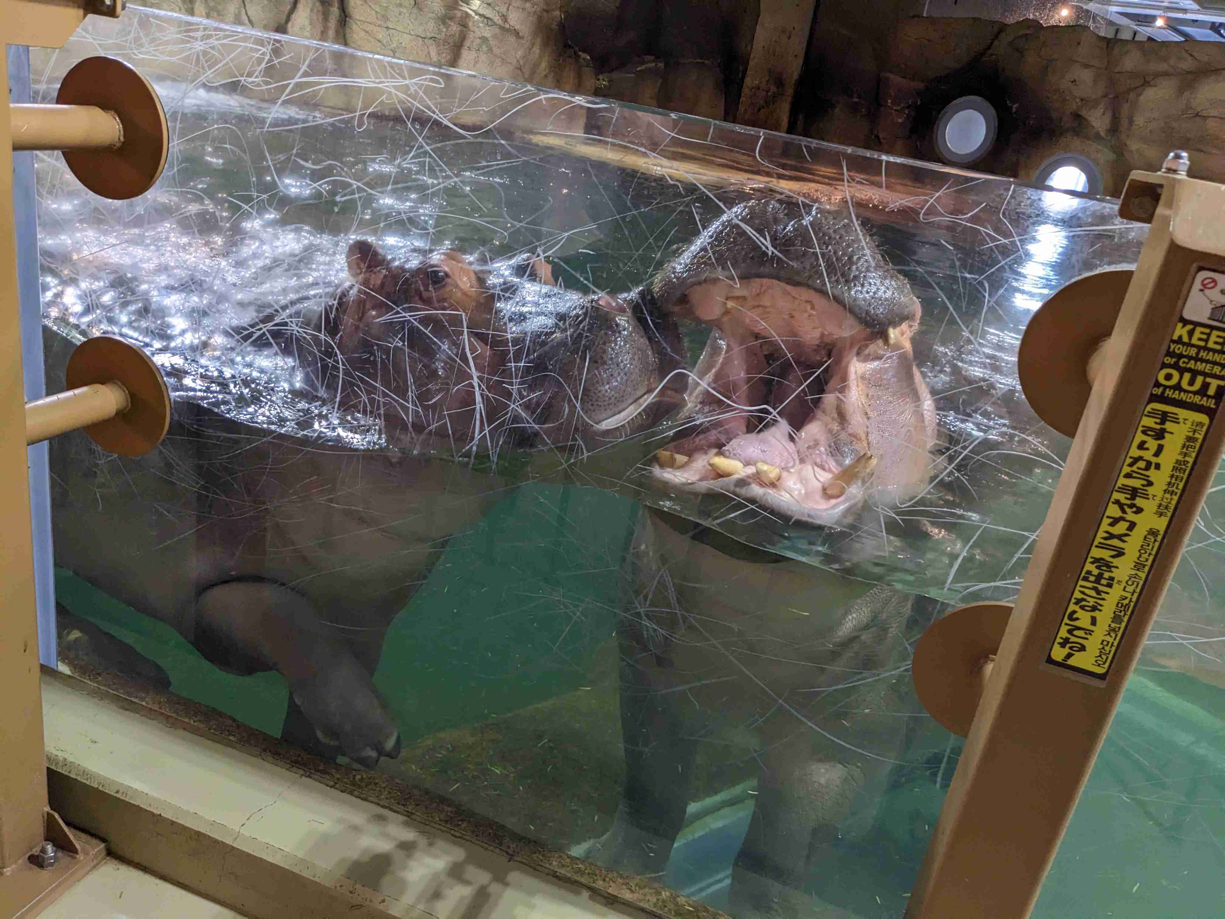 とにかく平和に雑談するトピpart14