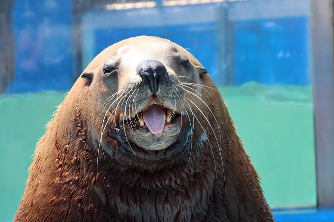 とにかく平和に雑談するトピpart14