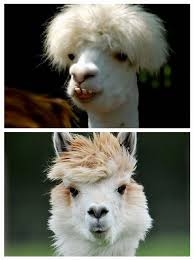 とにかく平和に雑談するトピpart14