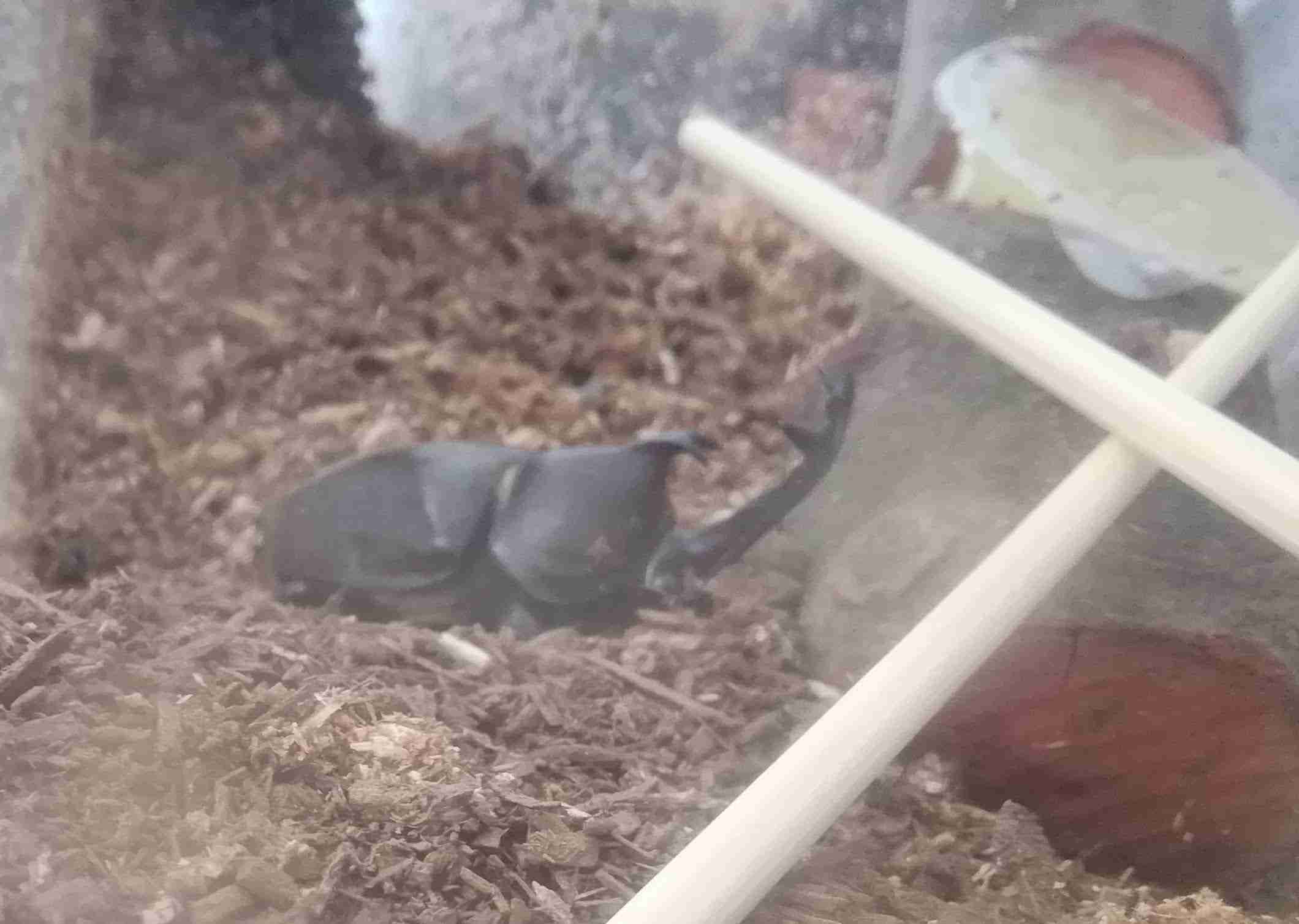 とにかく平和に雑談するトピpart14