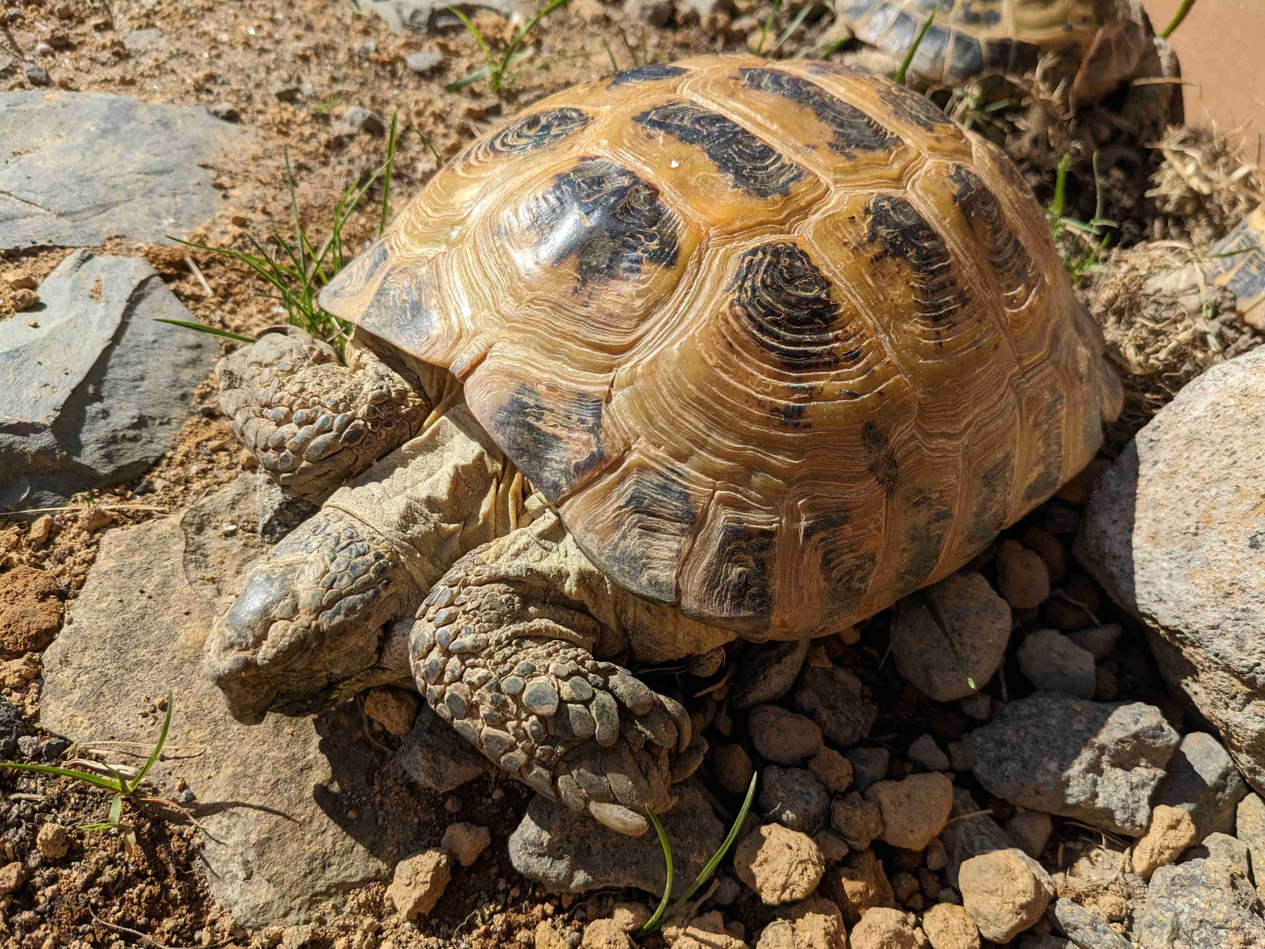 とにかく平和に雑談するトピpart14