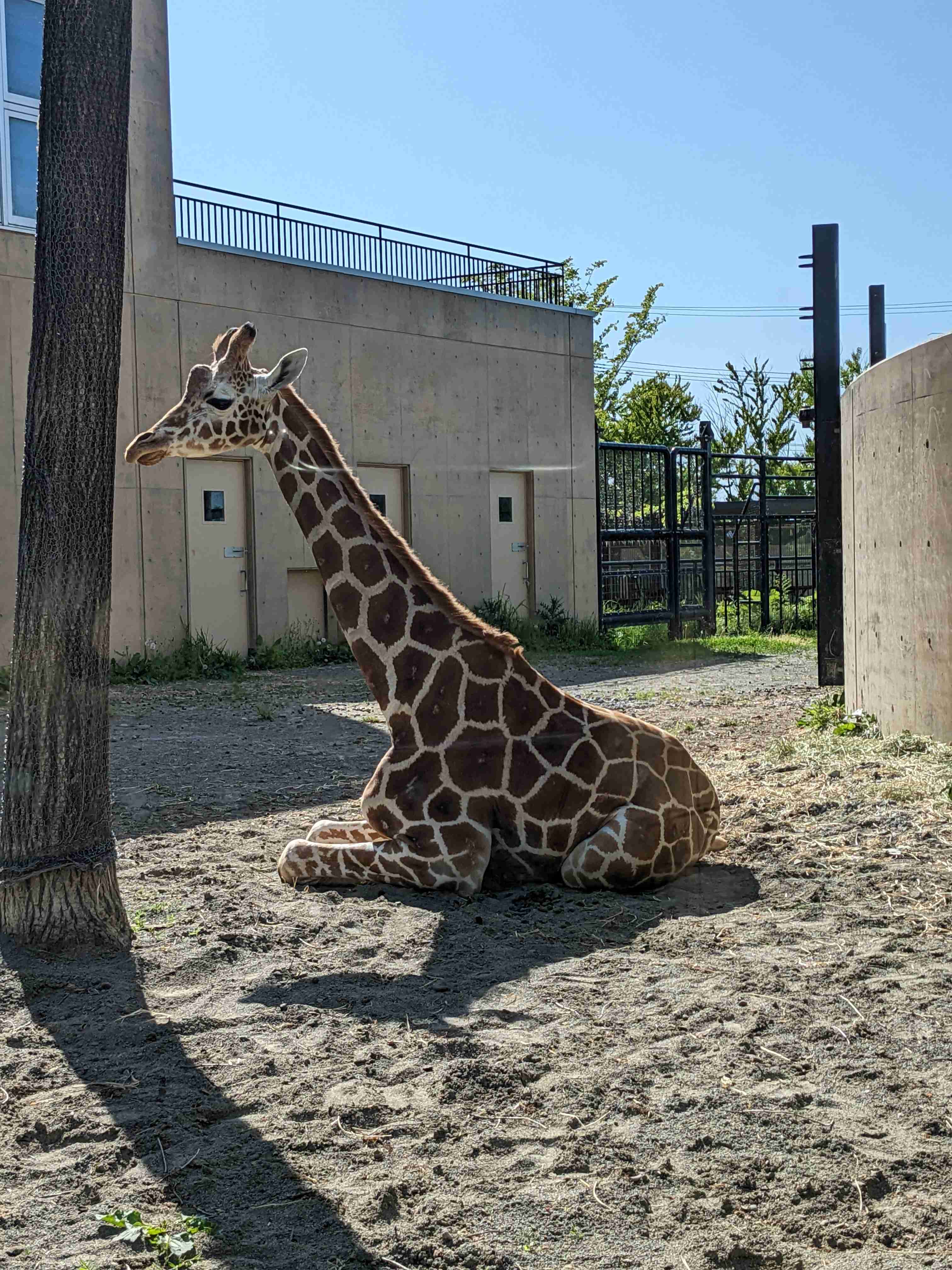 とにかく平和に雑談するトピpart14