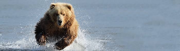 とにかく平和に雑談するトピpart14