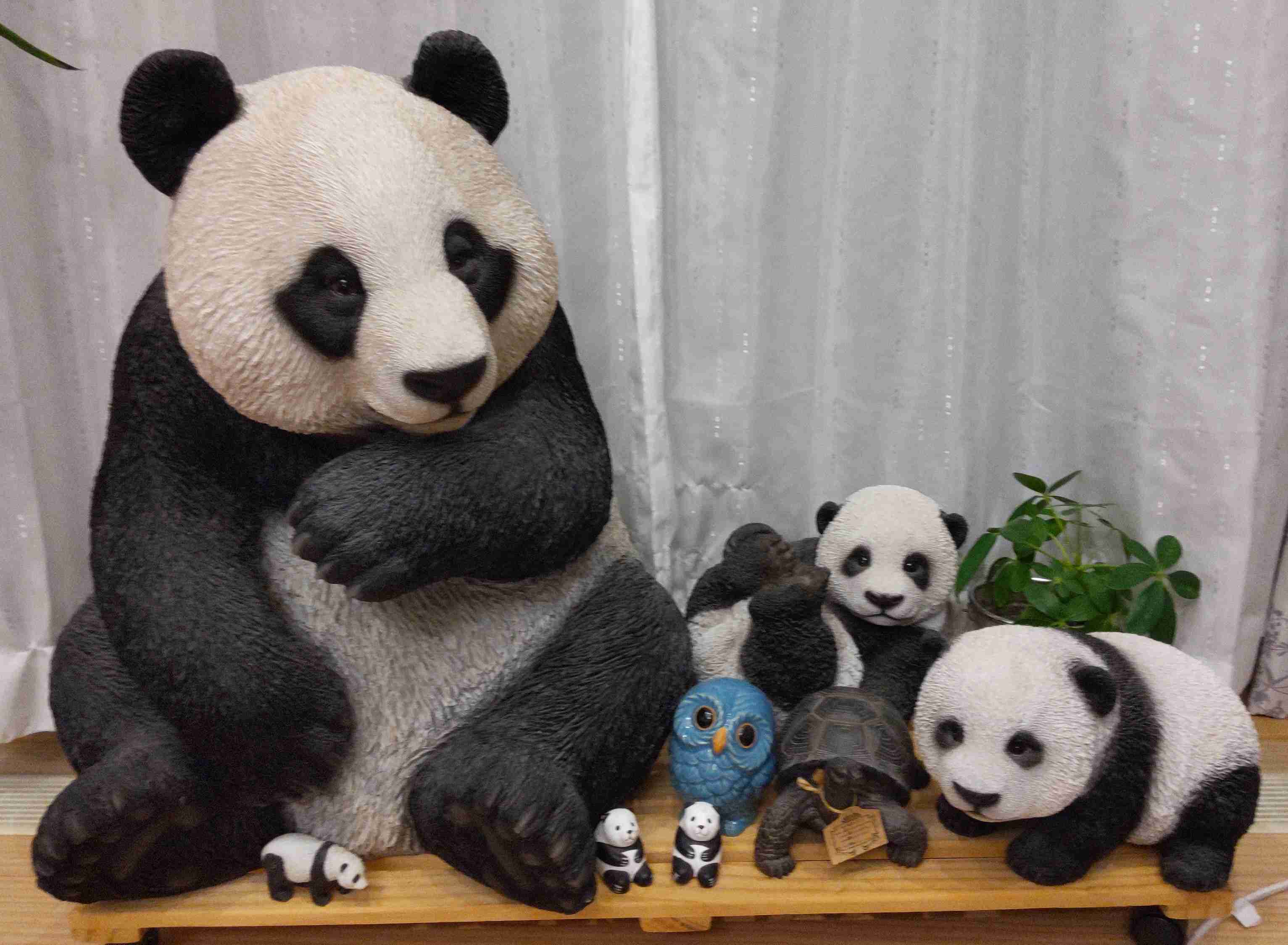 ５月にFP試験を受ける方！！