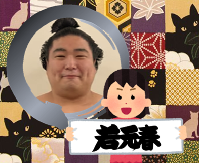 【実況・感想】大相撲5月場所を応援するトピ