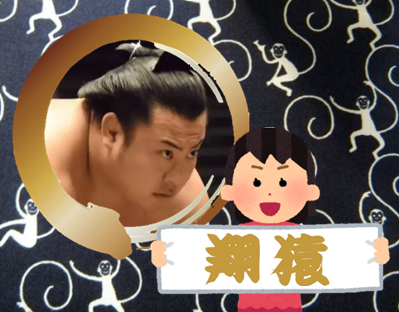 【実況・感想】大相撲5月場所を応援するトピ