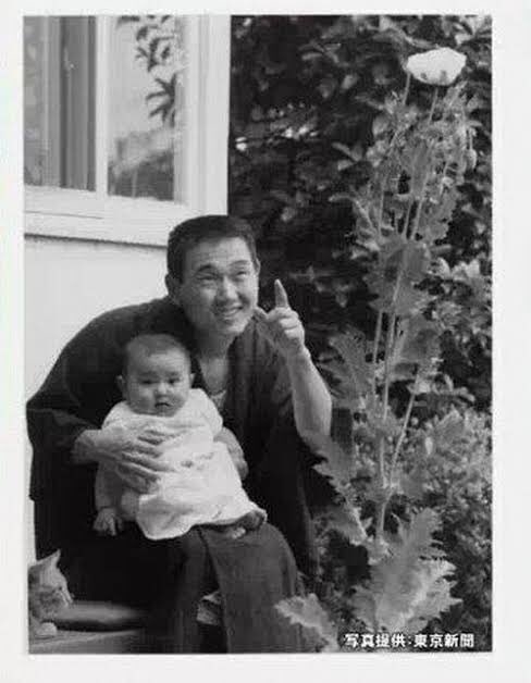 野生ケシ、京都で急増　4年で4倍以上　府「抜かずに通報を」