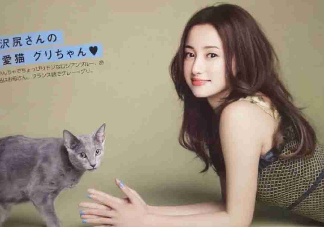 芸能人の半生を描いたドラマ、誰のが見たい?