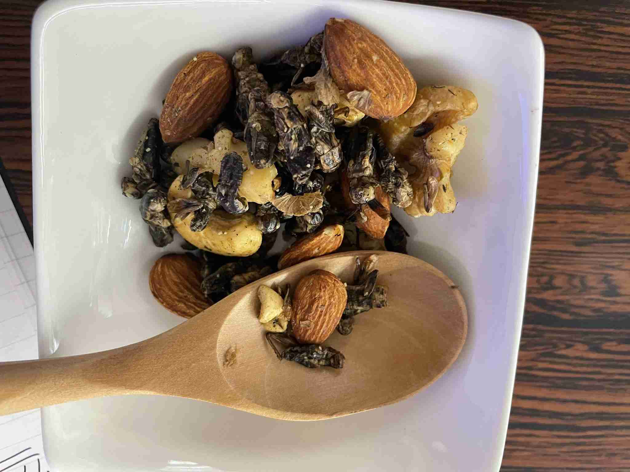 1歳の子どものおやつに“コオロギ”を与えて物議を醸す、コオロギ食はアリ?ナシ?