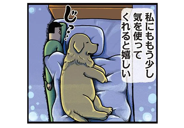ゴールデンレトリバーの画像が集まるトピ