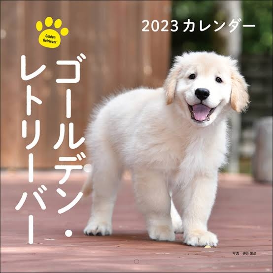 ゴールデンレトリバーの画像が集まるトピ