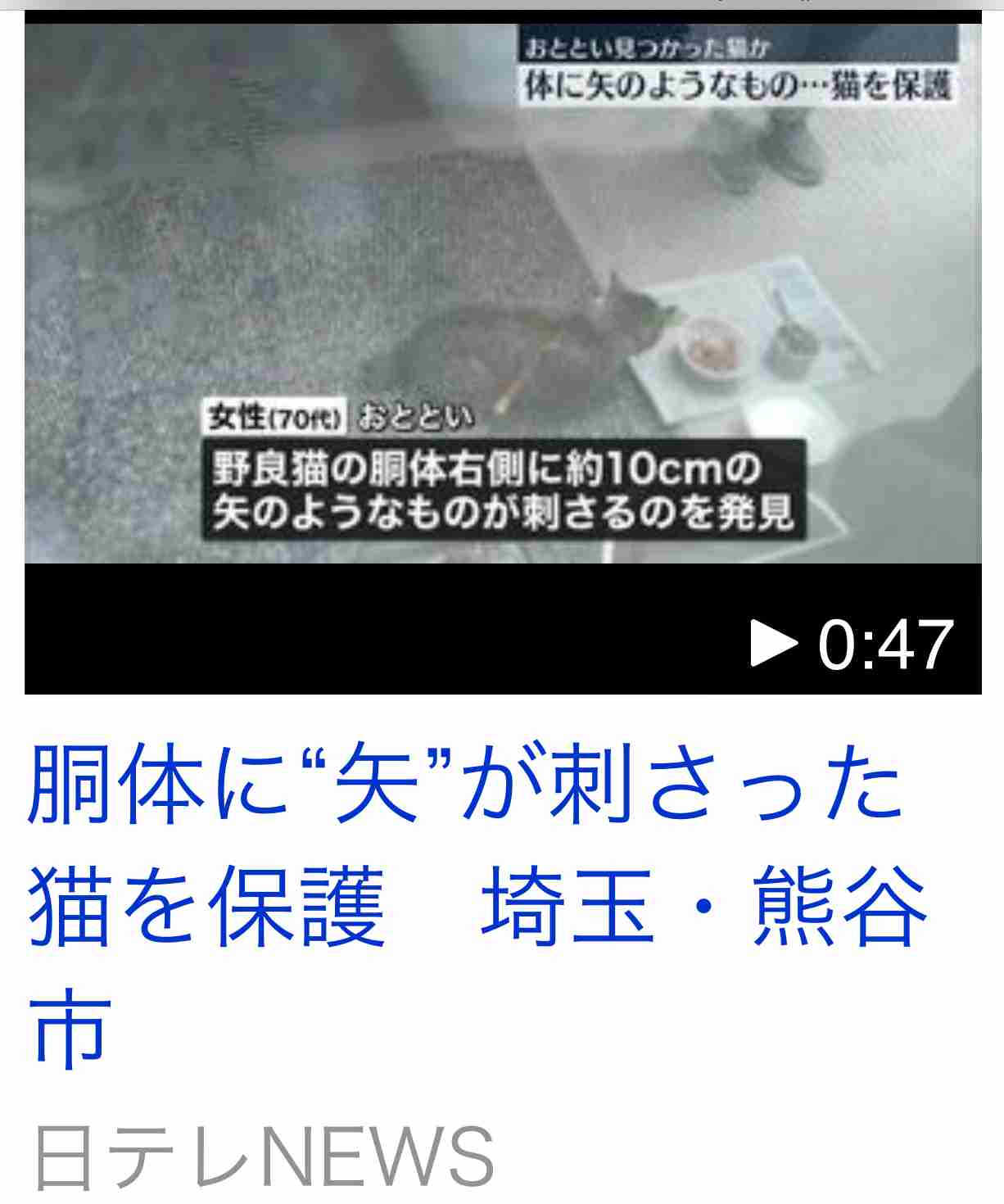 「怒りがこみ上げてきて」面識ない女性をバットで殴打　殺人未遂疑いの男逮捕　自らも帰宅後通報