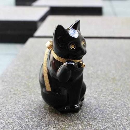がるちゃん猫カフェ87号店開店しました♫(初めての方も大歓迎♫)
