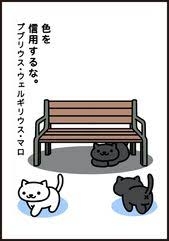 がるちゃん猫カフェ87号店開店しました♫(初めての方も大歓迎♫)