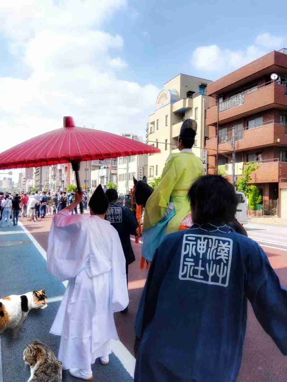 がるちゃん猫カフェ87号店開店しました♫(初めての方も大歓迎♫)