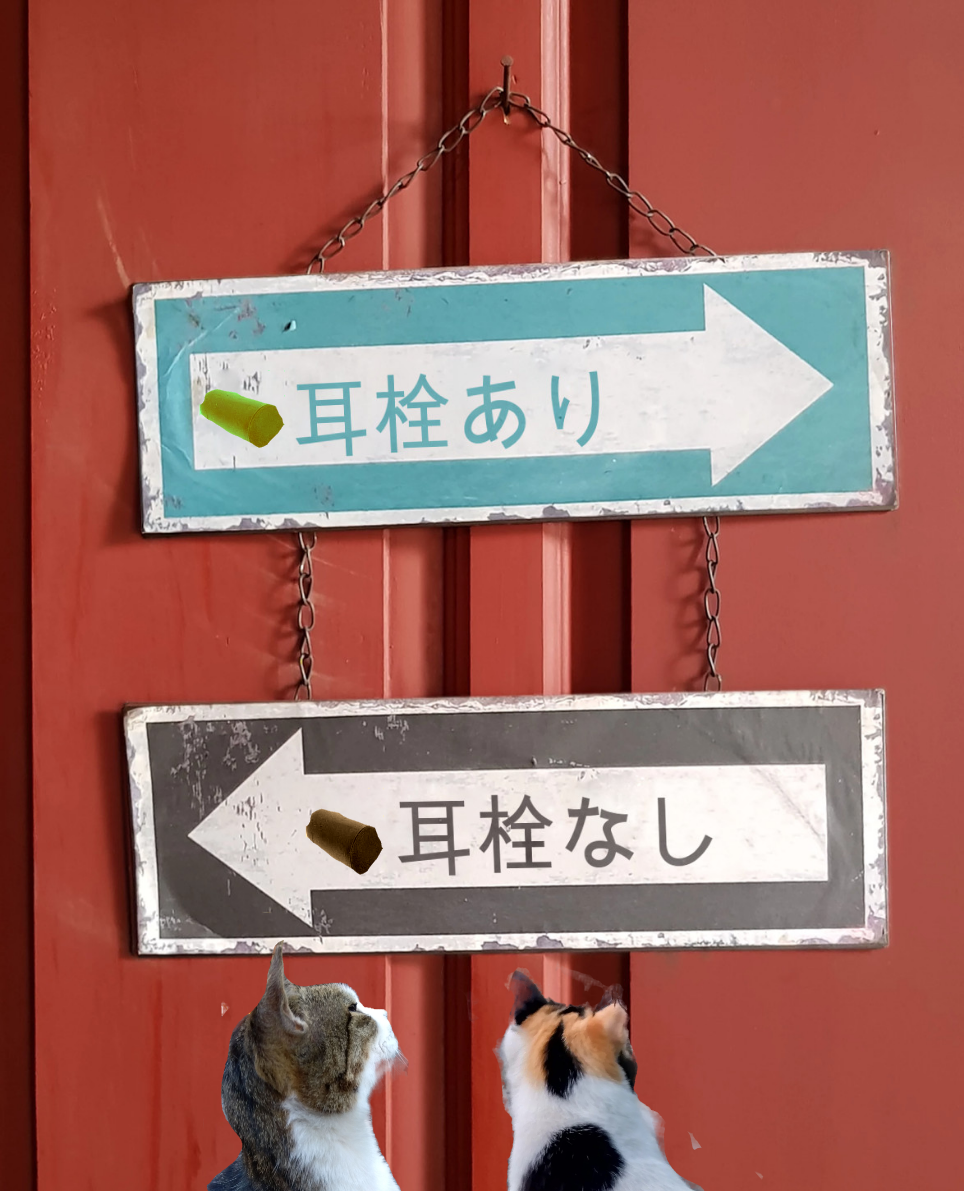 がるちゃん猫カフェ87号店開店しました♫(初めての方も大歓迎♫)