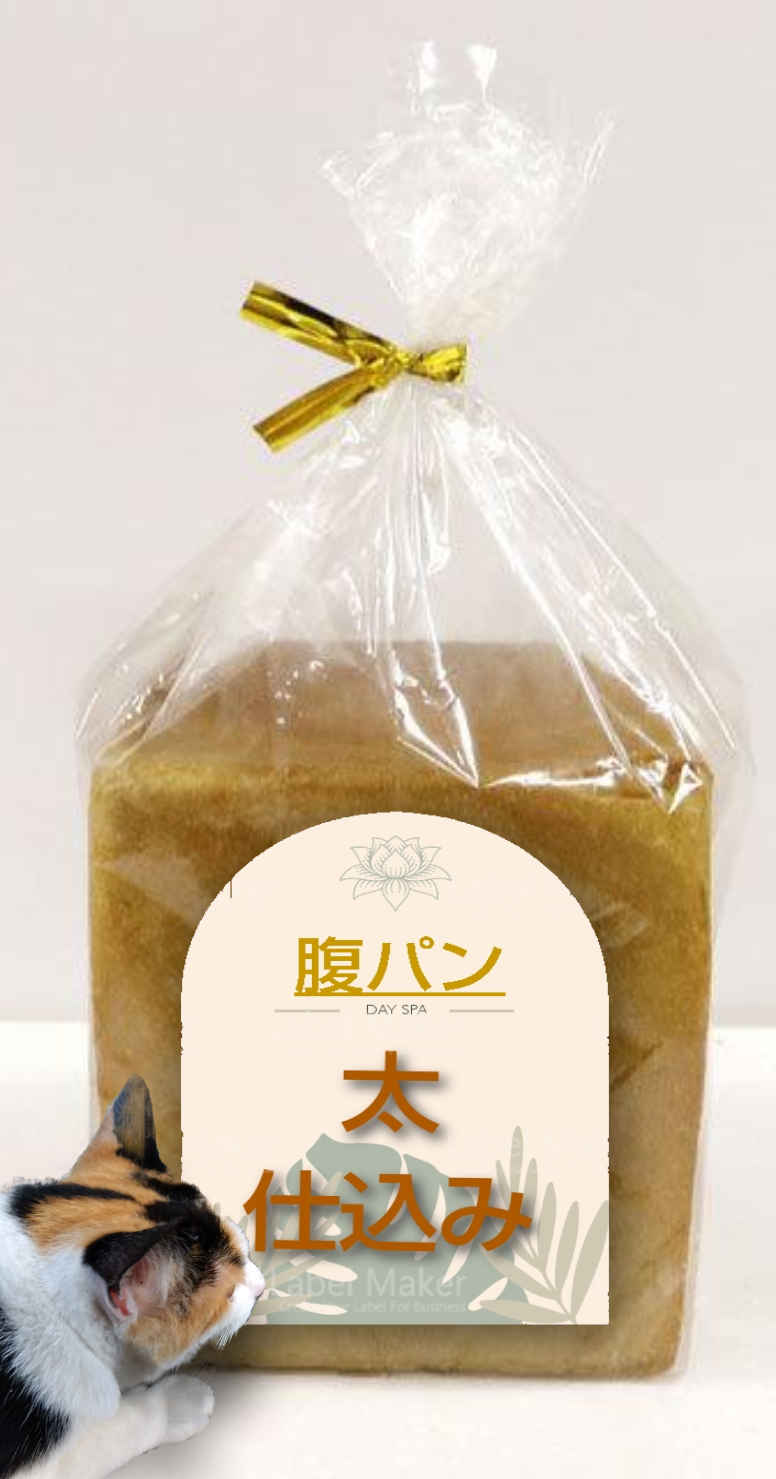 がるちゃん猫カフェ87号店開店しました♫(初めての方も大歓迎♫)