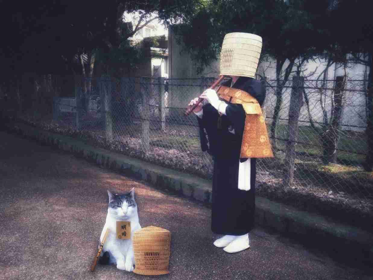 がるちゃん猫カフェ87号店開店しました♫(初めての方も大歓迎♫)