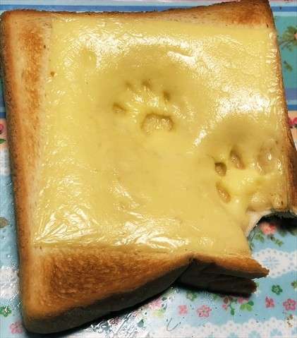 がるちゃん猫カフェ87号店開店しました♫(初めての方も大歓迎♫)