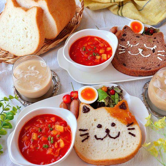 がるちゃん猫カフェ87号店開店しました♫(初めての方も大歓迎♫)