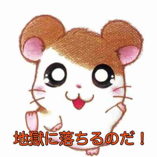 里親に応募、子猫2匹虐待疑い　20代男を書類送検