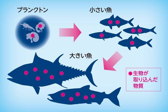 【閲覧注意】食べ物の怖い話part2