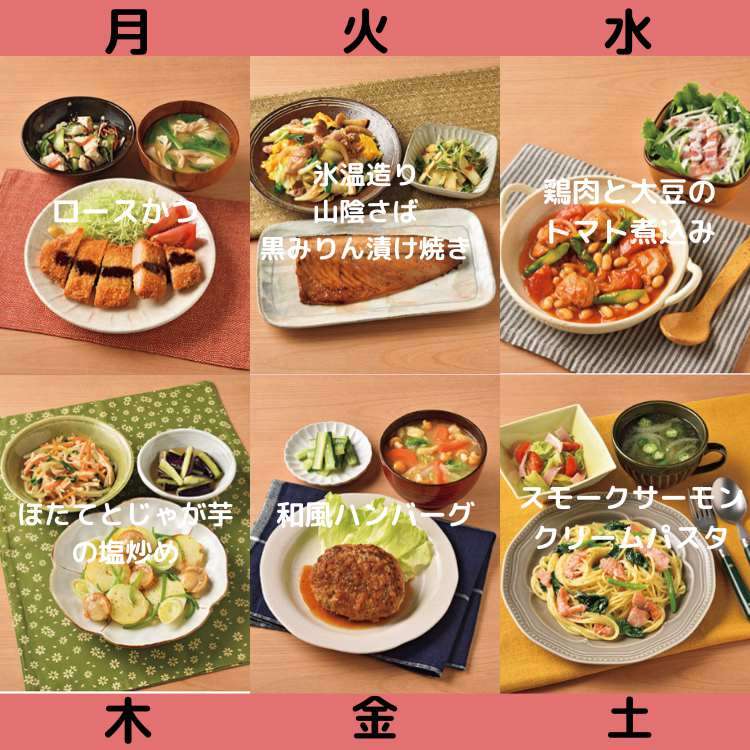 普通体型の人の食事が知りたい！