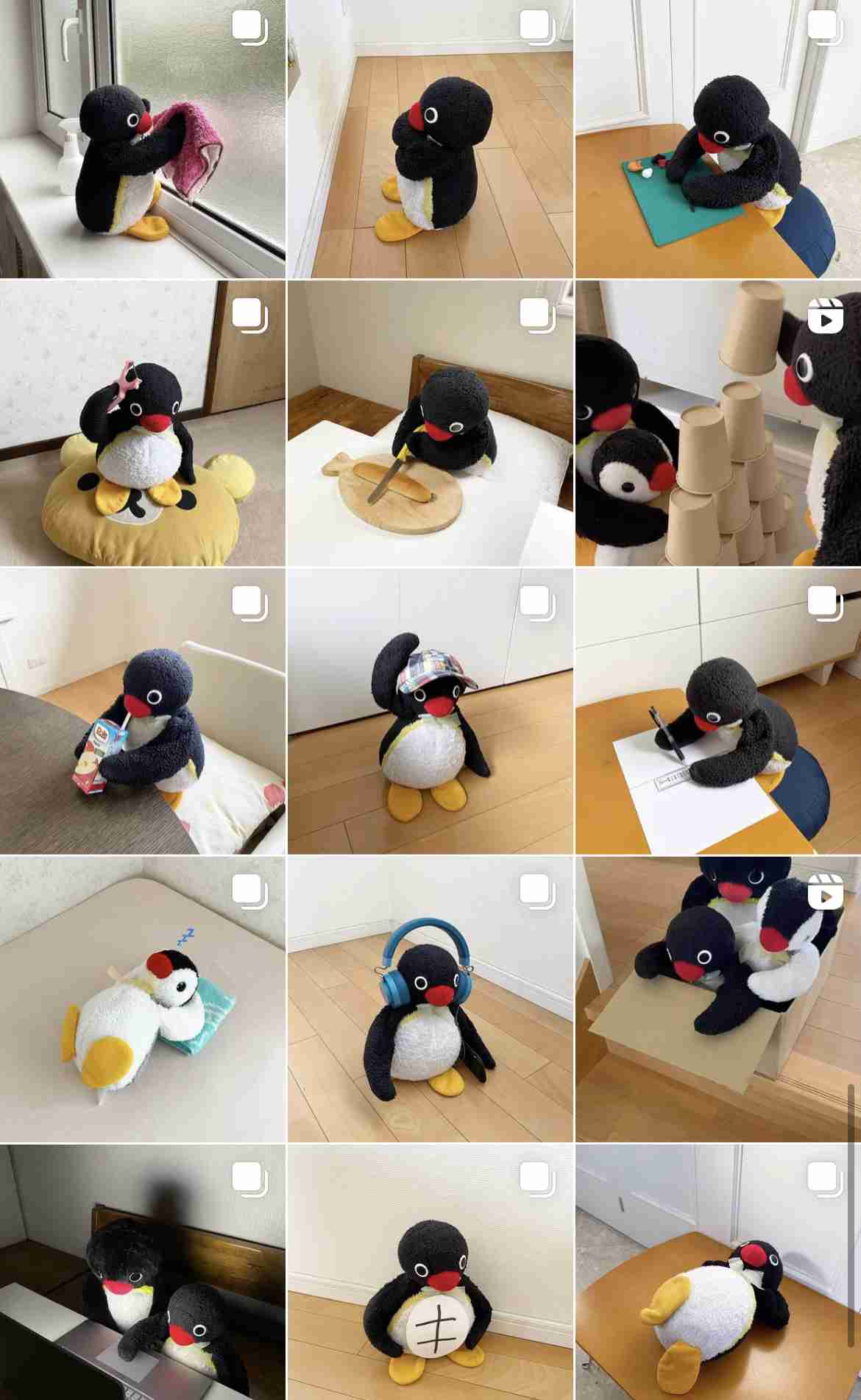 インスタ、どんなアカウントをフォローしてる？(人間以外)