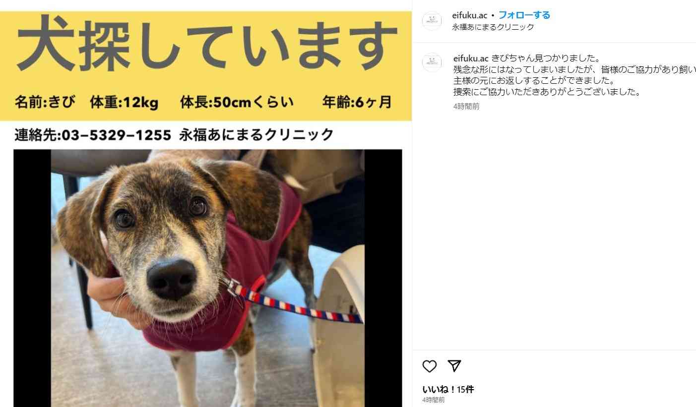 入院中の犬脱走→列車衝突で死亡 動物病院が「重大事故」謝罪「安全管理の重大な過失が招いた惨事」