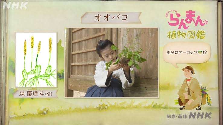 朝ドラ【らんまん】植物好き目線でお話ししませんか🍀