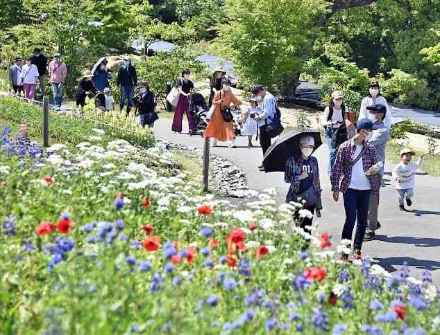 朝ドラ【らんまん】植物好き目線でお話ししませんか🍀