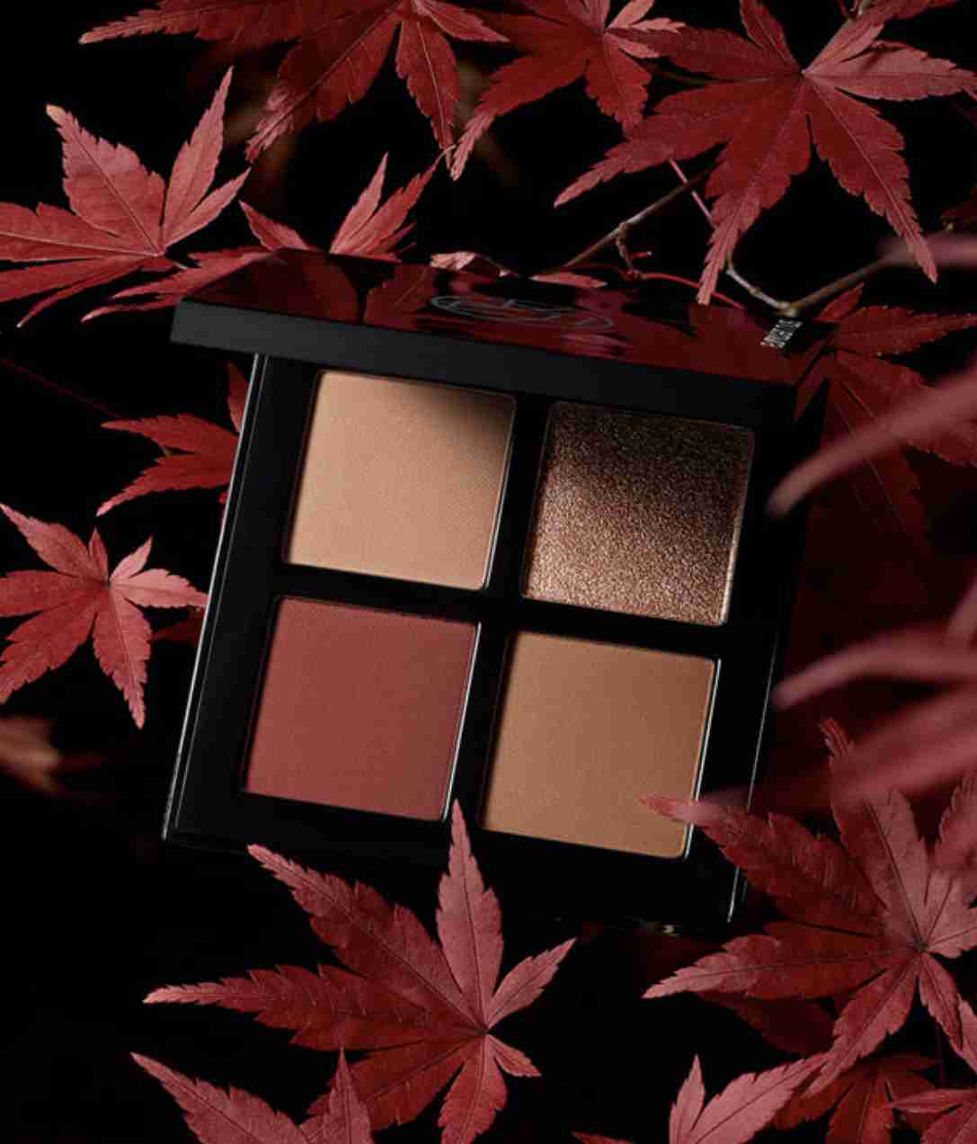 【5月】コスメ総合💄✨