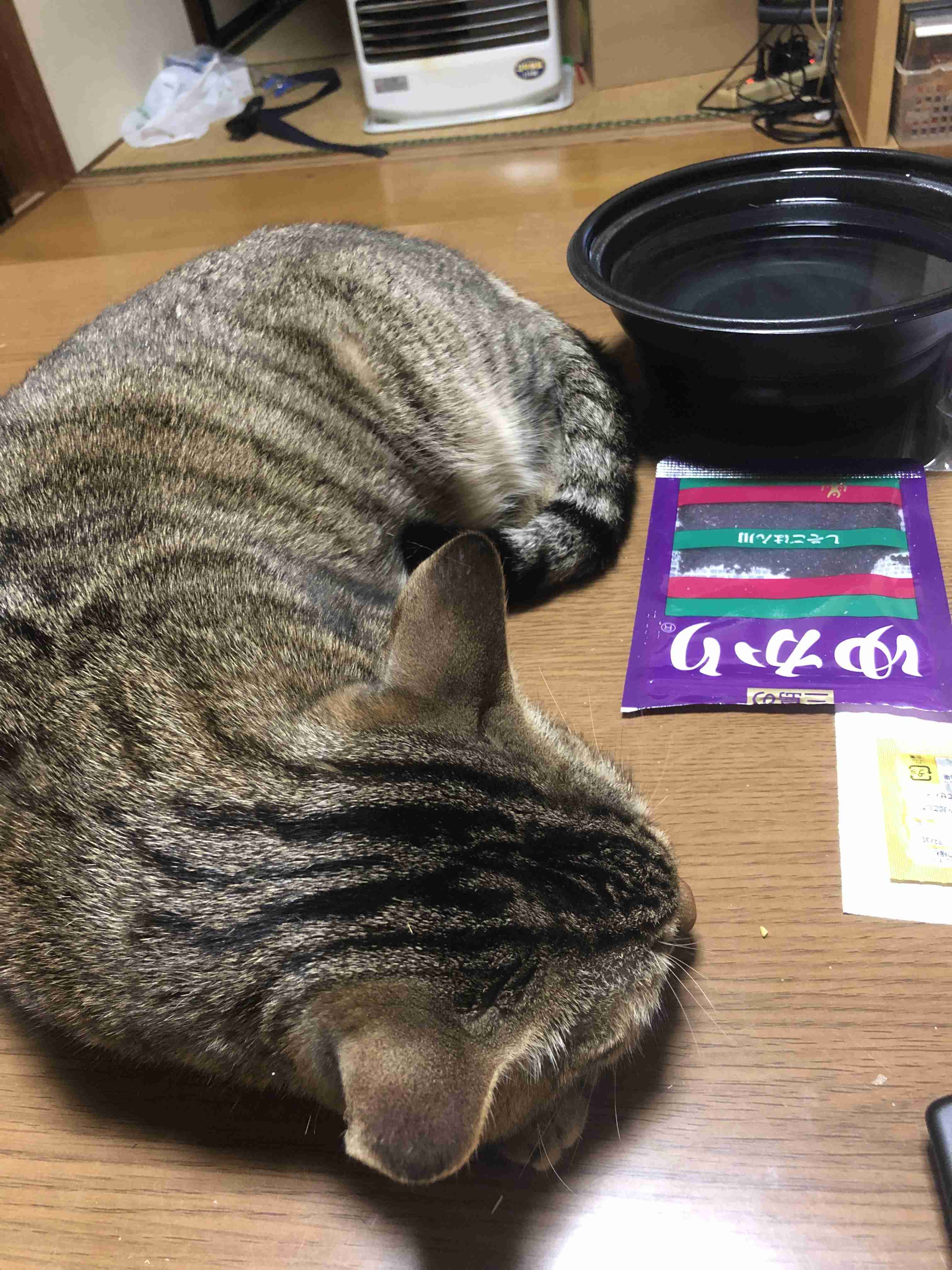 【身バレしない程度に】お宅の愛猫ちゃんを見せてください！part11 