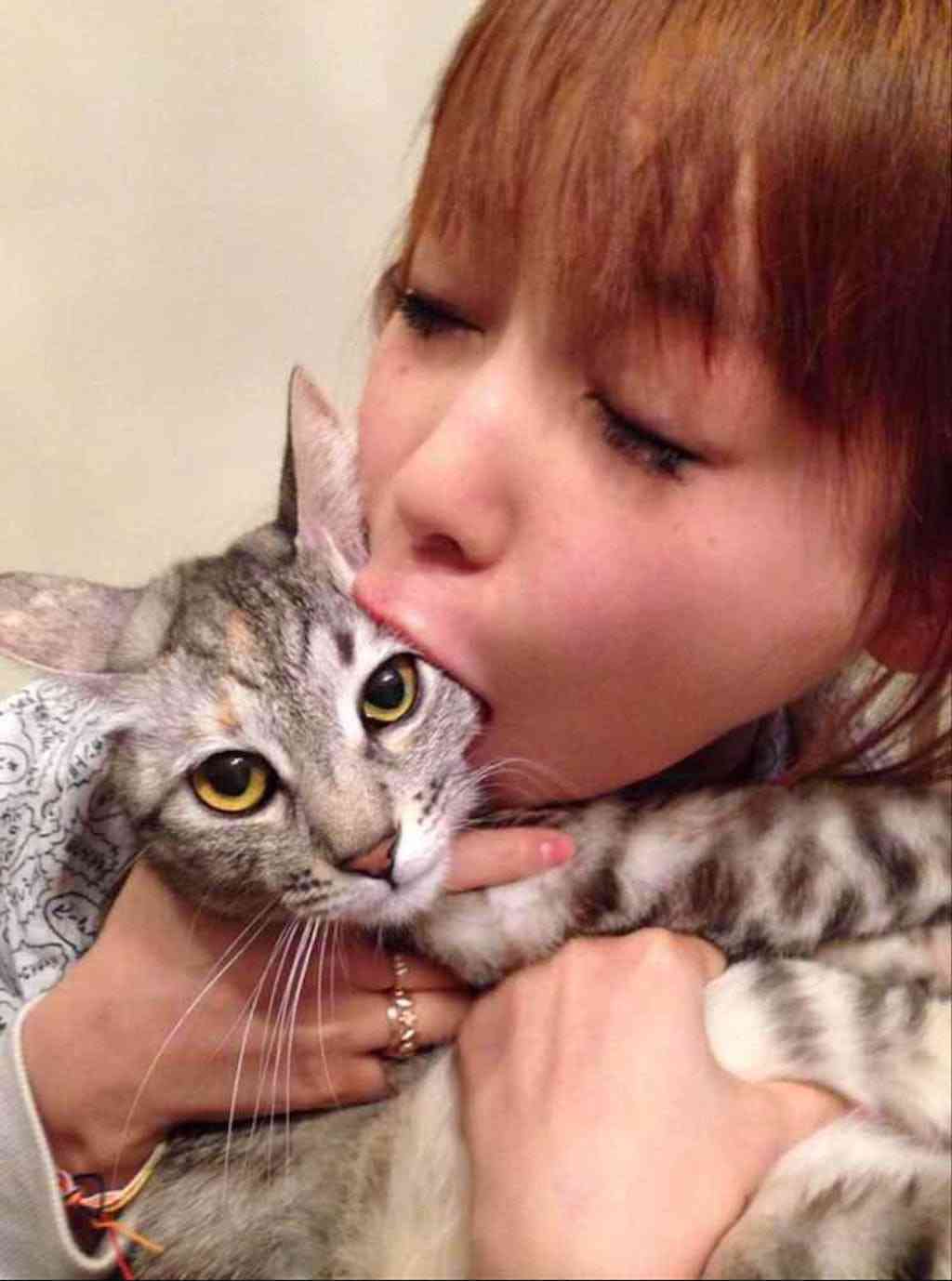 【身バレしない程度に】お宅の愛猫ちゃんを見せてください！part11 