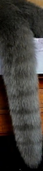 【身バレしない程度に】お宅の愛猫ちゃんを見せてください！part11 