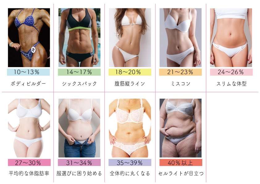 自分の体脂肪率把握してますか？