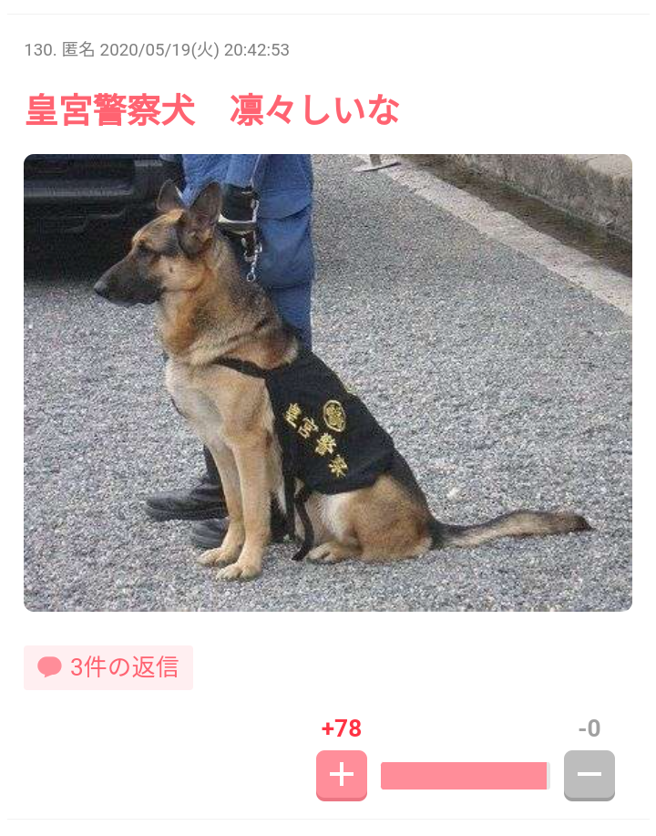 好きな犬種【みんなのオンリーワン🐶】