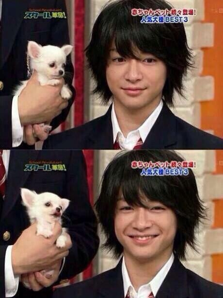 好きな犬種【みんなのオンリーワン🐶】