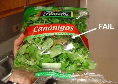サラダの異物「二ホンアマガエル」と判明　スーパーで販売、女性客が購入「食べている時に気づく」　製造会社「再発防止に取り組む」