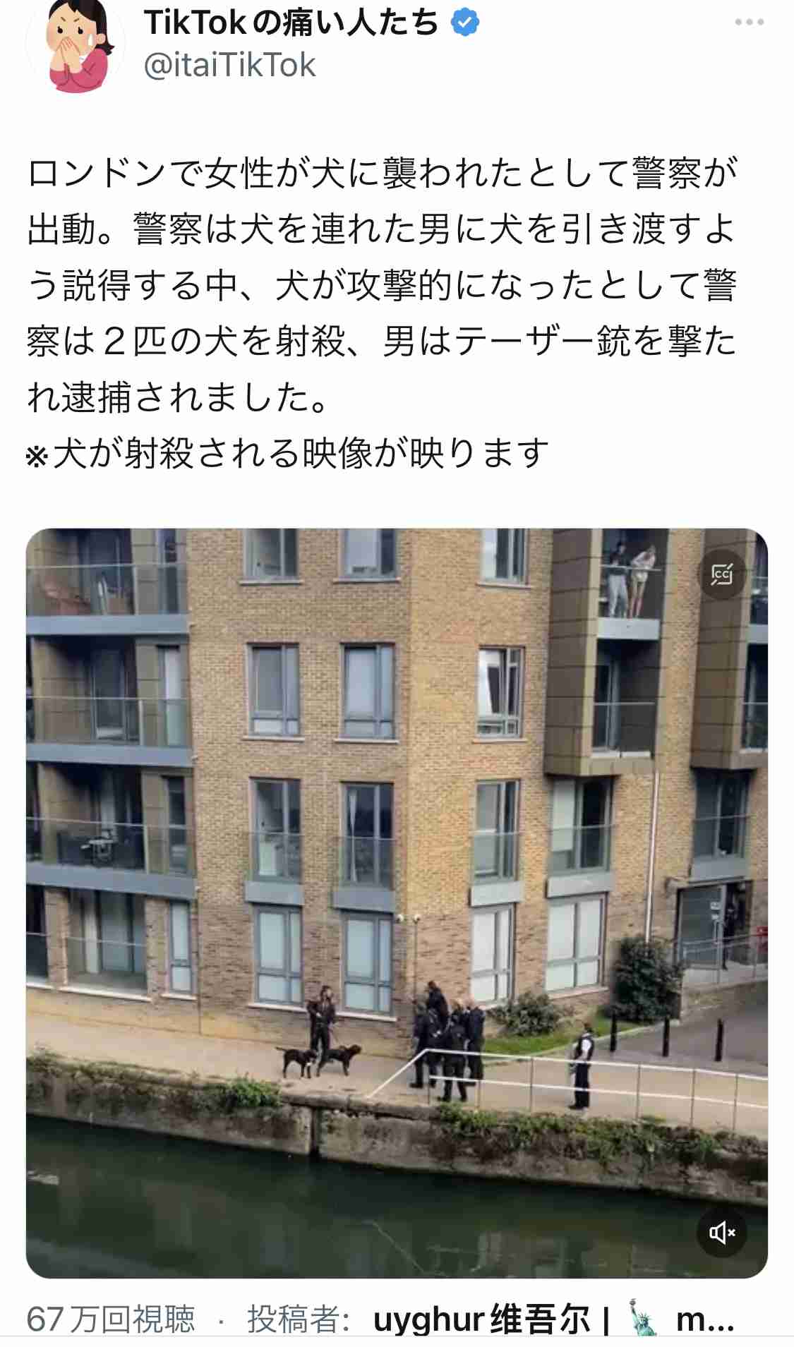 「犯人にも人権あるぞ」 銀座時計強盗「逮捕の瞬間」動画、顔面タトゥーラッパーが異論「目を覚ませ日本」