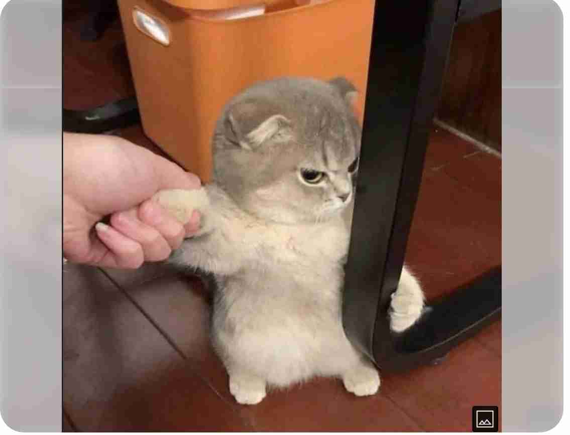 心の声が伝わってくる画像を貼ろう！