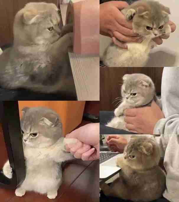 心の声が伝わってくる画像を貼ろう！
