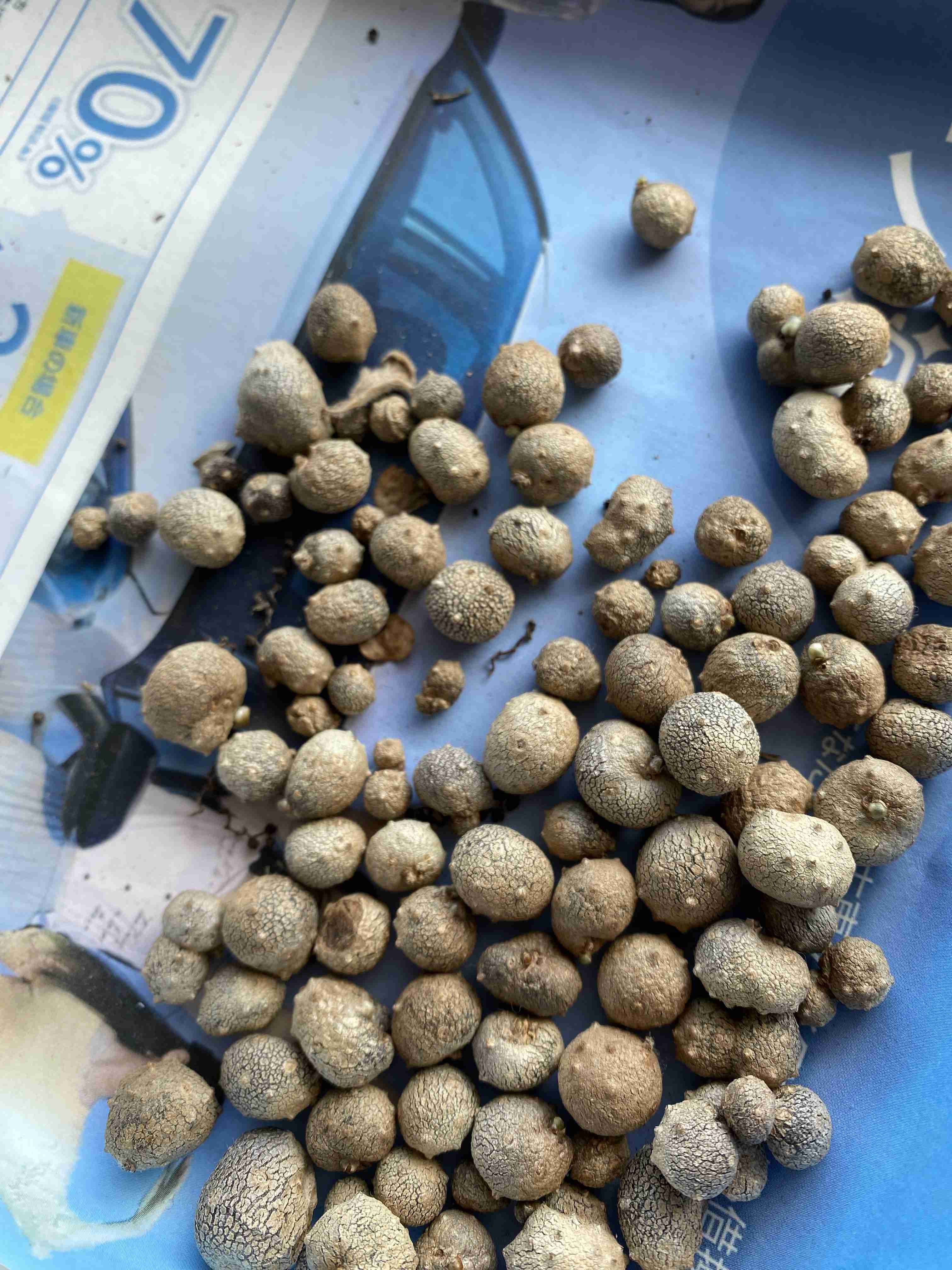 【実況・感想】金曜ドラマ『ペンディングトレイン－8時23分、明日君と』#03